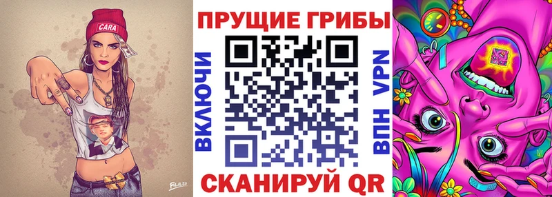 kraken как войти  Тихорецк  площадка официальный сайт  Галлюциногенные грибы MAGIC MUSHROOMS 